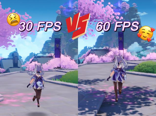 30 FPS VS 60 FPS